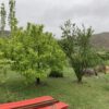 زمین مسکونی گیلان دیلمان اسپیلی. روستای ایشکوه