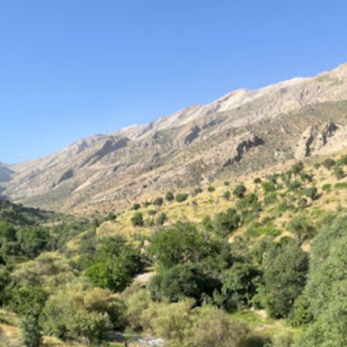 فروش 750 متر زمین در روستای تاریخی آبملخ