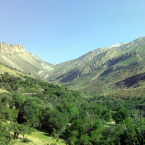 فروش 750 متر زمین در روستای تاریخی آبملخ