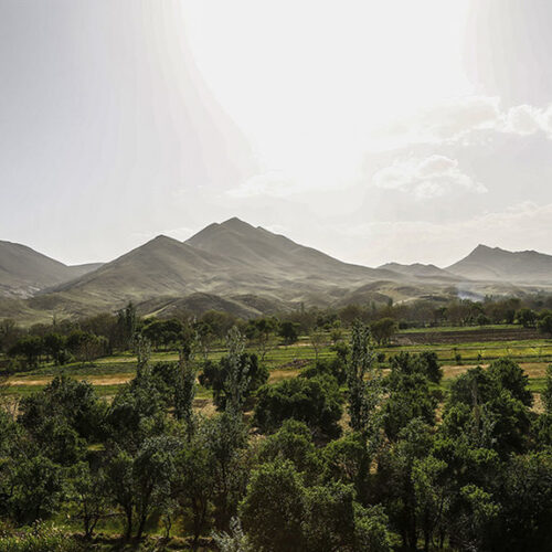 فروش باغ 1500 متری روستای جلکبر