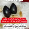 مهره مار / خرمهره / مهره کلاغ/خرموره/مارموره