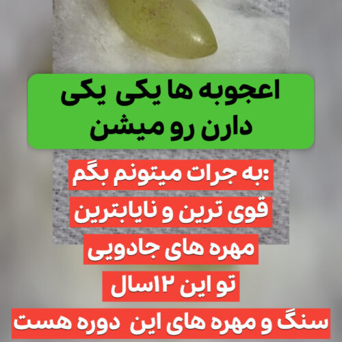 مهره مار / خرمهره / مهره کلاغ/خرموره/مارموره