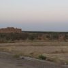 زمین پسته شیش ساعت آب قنات