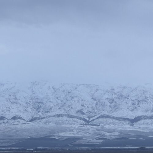 باغ 500 تا 2500 متری در ساوه روستای محمود آباد