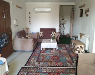 آپارتمانی نقلی با محیطی آرام و دلنشین و ویوی عالی