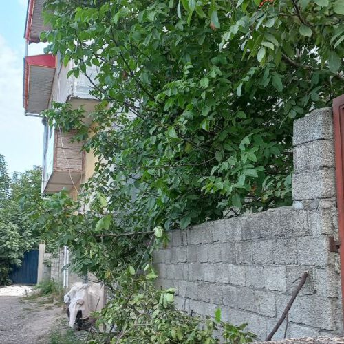 زمین مسکونی میدان نماز رضوانشهر دو براز دوتا کوچه