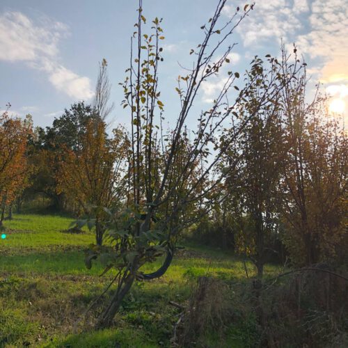 زمین با چشم اندازه عالی