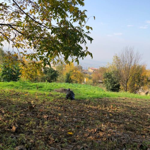 زمین با چشم اندازه عالی