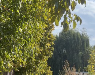 1000متر باغچه جنوب کردان سهیلیه