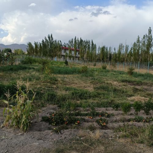 باغ در تبریز روستای سرند