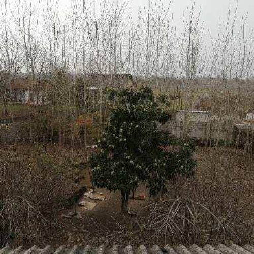 250متر زمین روستایی کاربری مسکونی سنددار