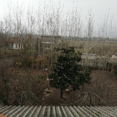 250متر زمین روستایی کاربری مسکونی سنددار
