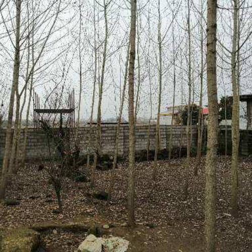 250متر زمین روستایی کاربری مسکونی سنددار