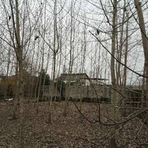 250متر زمین روستایی کاربری مسکونی سنددار