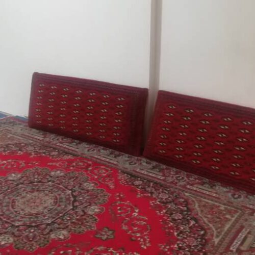 سوئیت با آلاچیق وچشمه آب معدنی حیاط دار