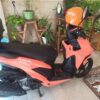 کویر موتور 150cc باکسدار