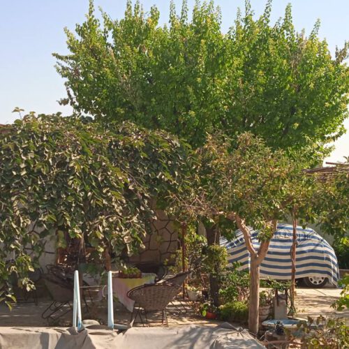 فروش باغ ویلا و معاوضه شاندیز امام رضای یک فرح آباد
