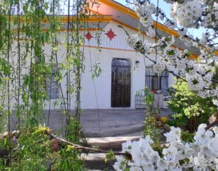 ویلاباغ واقع در کمربندی حاجی قلی زاده،جاده پیرموسی