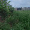 فروش،باغ روستای قوروق.بر خیابان اصلی .خوی،سلماس پشت قطعه