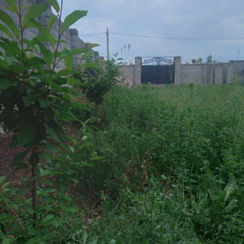 فروش،باغ روستای قوروق.بر خیابان اصلی .خوی،سلماس پشت قطعه