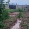 فروش،باغ روستای قوروق.بر خیابان اصلی .خوی،سلماس پشت قطعه