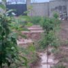 فروش،باغ روستای قوروق.بر خیابان اصلی .خوی،سلماس پشت قطعه