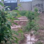 فروش،باغ روستای قوروق.بر خیابان اصلی .خوی،سلماس پشت قطعه