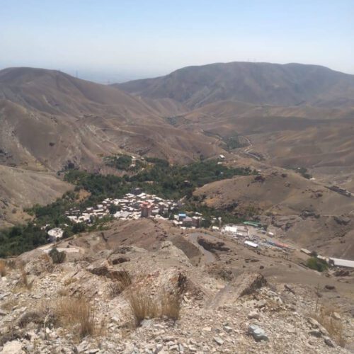 باغ فروشی روستای وردیج