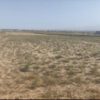 زمین کشاورزی حاشیه شهر قوچان