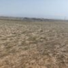 زمین کشاورزی حاشیه شهر قوچان