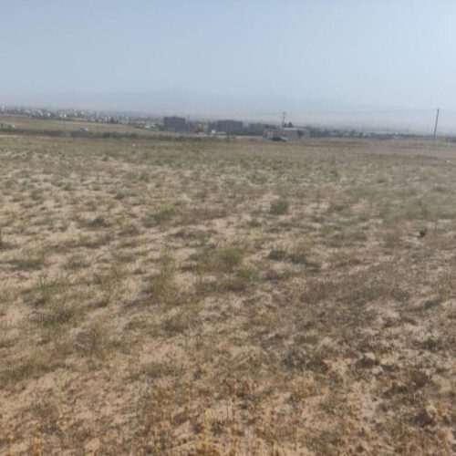 زمین کشاورزی حاشیه شهر قوچان