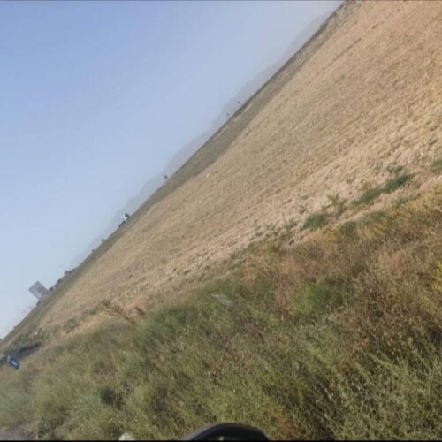 زمین کشاورزی حاشیه شهر قوچان