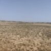 زمین کشاورزی حاشیه شهر قوچان