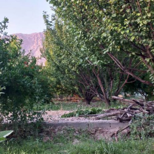 فروش باغ 2500 متری در فاروق