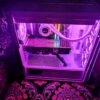 سیستم  کامپیوتر حرفه ای گیمینگ نسل 13 RTX 3080