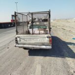 پیکان وانت