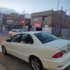 فروش سمندسورن