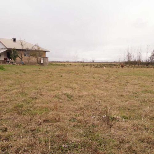 فروش سه هکتار زمین رشت روستای پسیخان (توضیحات مطالعه شود)