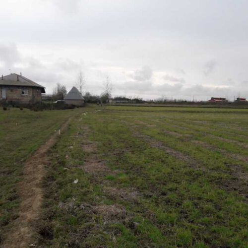 فروش سه هکتار زمین رشت روستای پسیخان (توضیحات مطالعه شود)