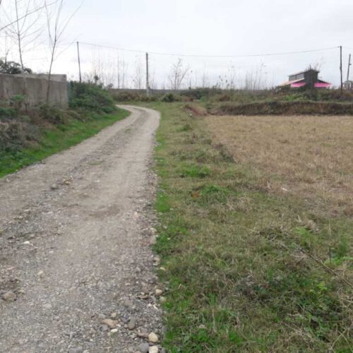 فروش سه هکتار زمین رشت روستای پسیخان (توضیحات مطالعه شود)