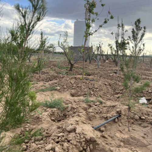 زمین 211 متری