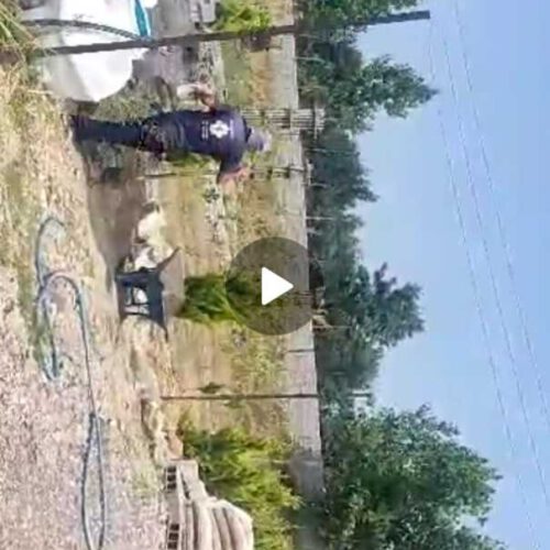 فروش زمین شهرکی شمال شهر نور چمستان