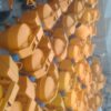بتونیر و بالابر ساختمانی و …
