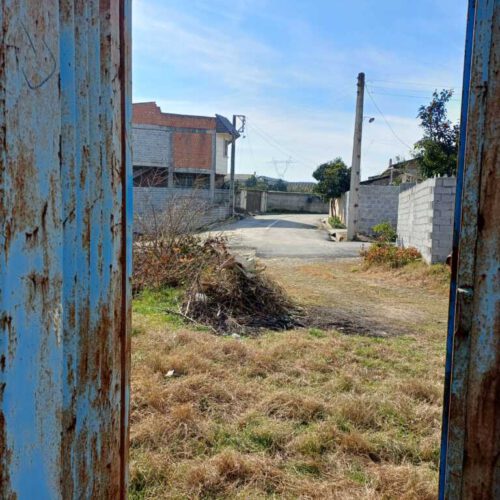 زمین کشاورزی