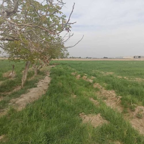 قیمت توافقی   مناسب برای  گلخانه  احداس سوله