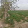 قیمت توافقی   مناسب برای  گلخانه  احداس سوله