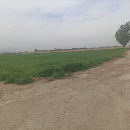 قیمت توافقی   مناسب برای  گلخانه  احداس سوله