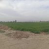 قیمت توافقی   مناسب برای  گلخانه  احداس سوله