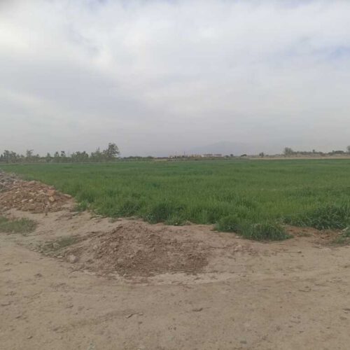 قیمت توافقی   مناسب برای  گلخانه  احداس سوله