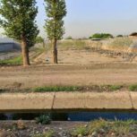 زمین دارای درخت پسته مساحت 1200 متر